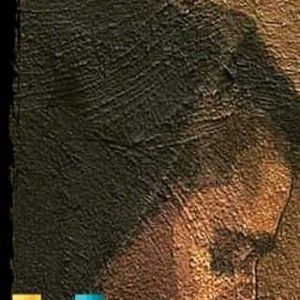 Meet your Posher, Gabriel